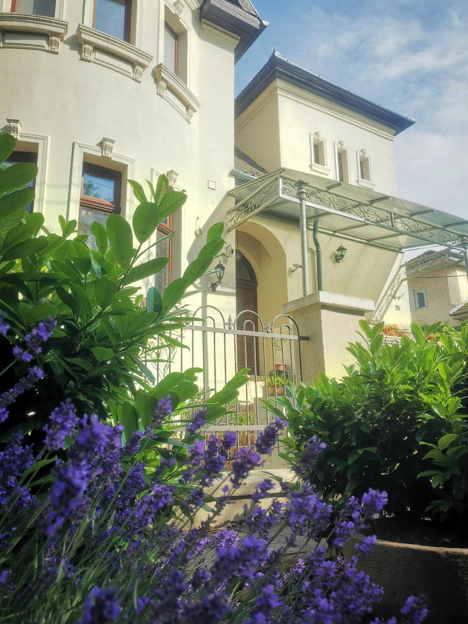 Kuria Apartman Budapest With Free Parking ภายนอก รูปภาพ