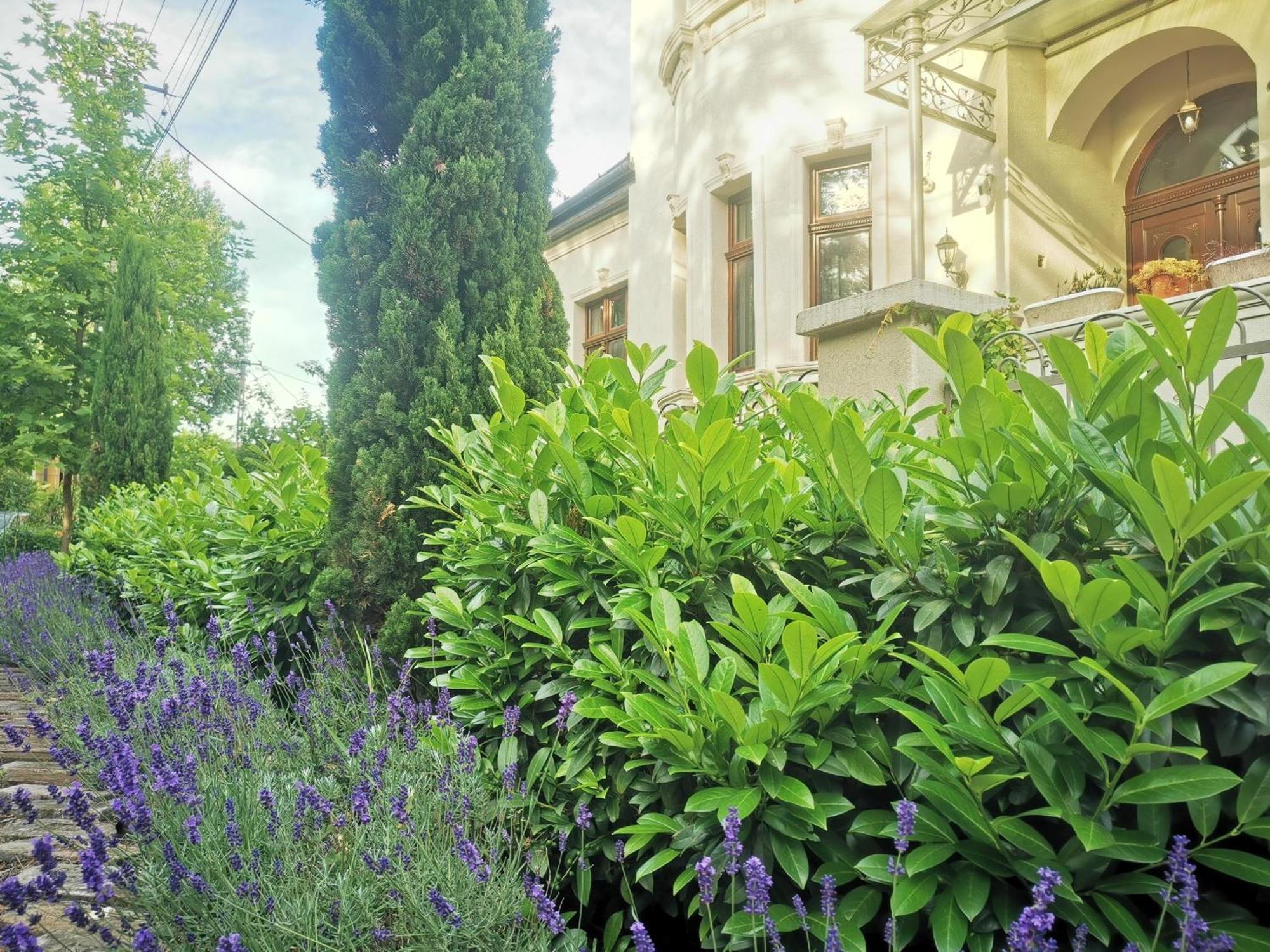 Kuria Apartman Budapest With Free Parking ภายนอก รูปภาพ